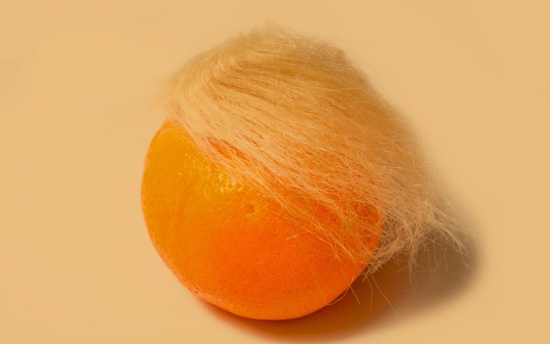 Orange Man Bad – Orange Man Good