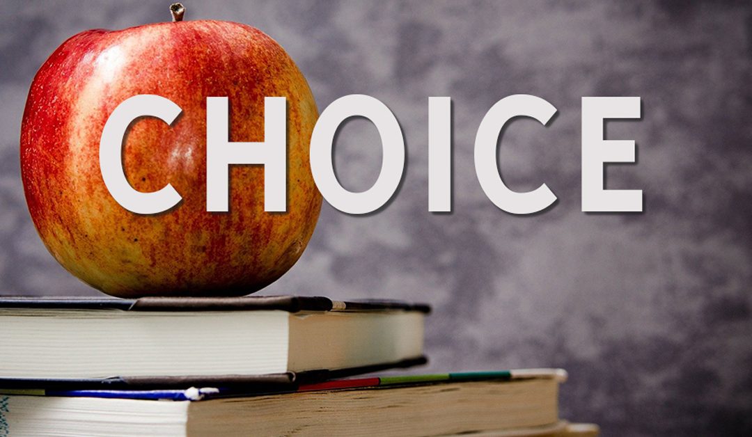 5 Reasons for School Choice