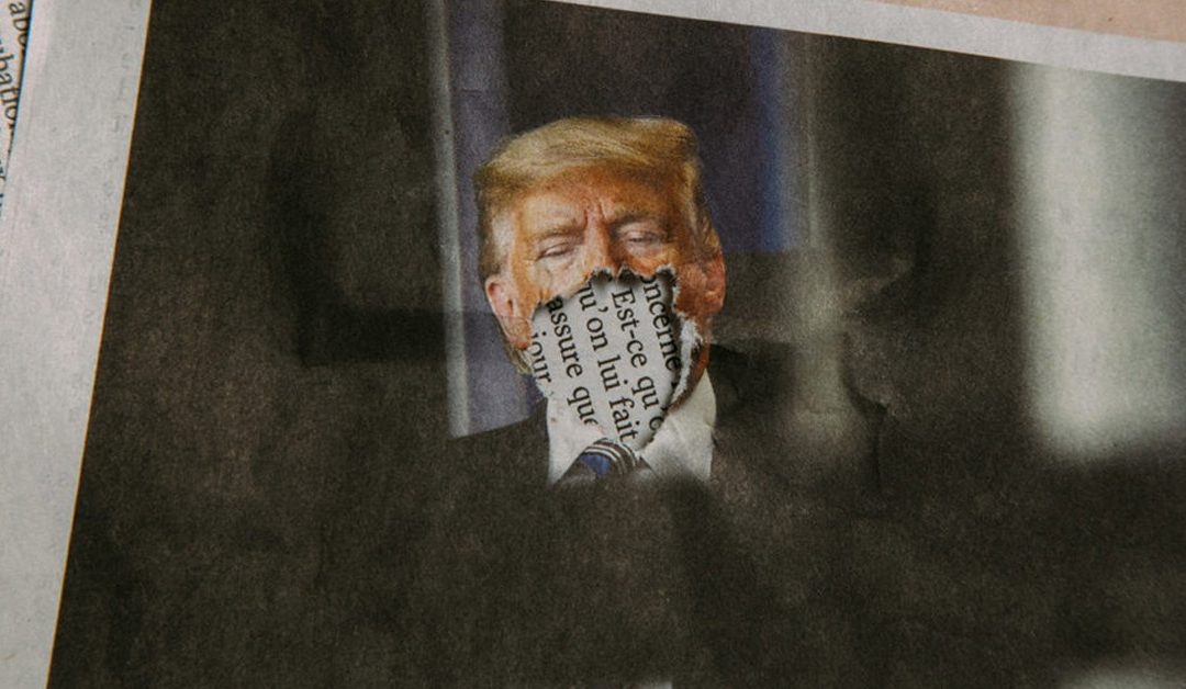 The Politics of a Pandemic